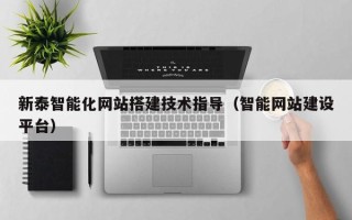 厦门新泰智能化网站搭建技术指导（智能网站建设平台）
